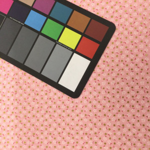 Daisies in Pink and Metallic Gold | Quilting Fabric | 100% Cotton | 44 wide | By the Yard 2