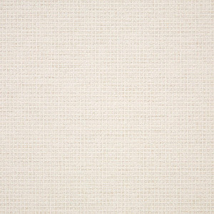 Sunbrella Nurture White 42102-0001 | 54 inch Outdoor / Indoor furniture Weight Fabric | By the Yard