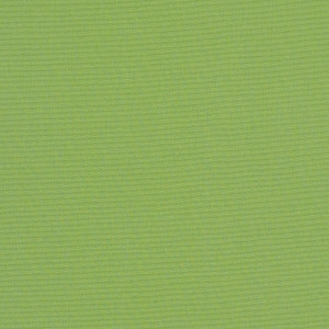 Sunbrella Canvas Ginkgo 54011-0000 | 54 inch Outdoor / Indoor furniture Weight Fabric | By the Yard