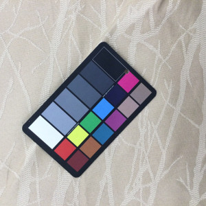 Birch Tree Branches in Tan | R-BIRCH SAND | Upholstery Fabric | Regal Fabrics Brand | 54 inch Wide | By the Yard