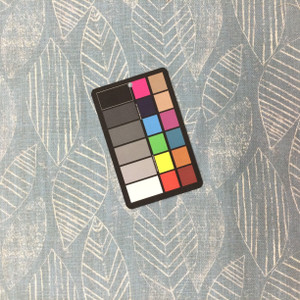 Modern Leaf Print in Blue and White | R-TRACE NIAGARA | Upholstery Fabric | Regal Fabrics Brand | 54 inch Wide | By the Yard