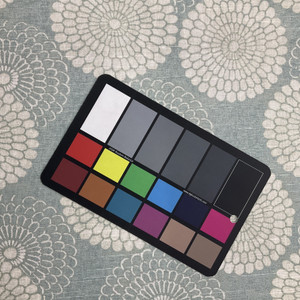 Modern Floral Home Decor Fabric | Light Teal / Off White | Curtains / Light Upholstery | 100% Cotton | 54" Wide | By the Yard | PKL Studios "Pasadena" in Fog