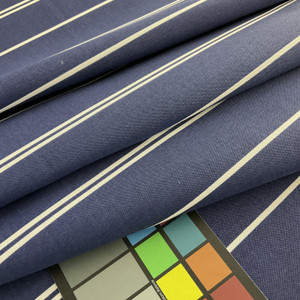 Richloom Solarium Outdoor Pursuit Navy | Medium Weight Outdoor Fabric | Home Decor Fabric | 54" Wide