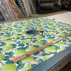 Richloom Solarium Outdoor Citrus Lime | Medium Weight Outdoor Fabric | Home Decor Fabric | 54" Wide