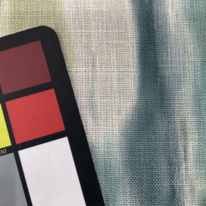 Richloom Berra Lagoon | Home Decor Fabric | 55" Wide