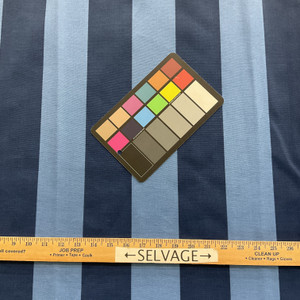 Richloom Solarium Outdoor Preview Capri | Lightweight Outdoor Fabric | Home Decor Fabric | 54" Wide