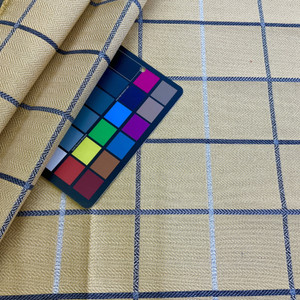 Richloom Fortress Clear Postage Woven Sunshine | Home Decor Fabric | 54" Wide