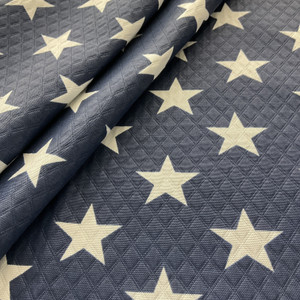 Richloom Solarium Diamond Tech Macey Outdoor Americana | Home Decor Fabric | 54" Wide