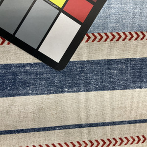 Richloom Solarium Weekender Outdoor Multi | Very Heavyweight Outdoor Fabric | Home Decor Fabric | 54" Wide