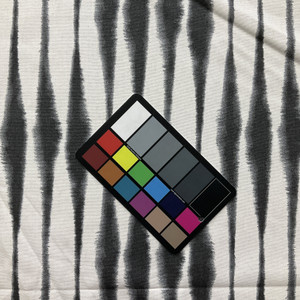 Premier Prints Salix Canvas Ink | Lightweight Canvas Fabric | Home Decor Fabric | 54" Wide