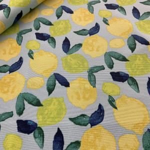PKL Studio Citrus Squeeze Outdoor Turquoise | Medium Weight Outdoor Fabric | Home Decor Fabric | 54" Wide