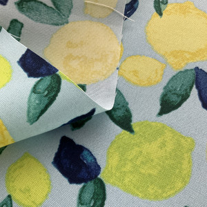PKL Studio Citrus Squeeze Outdoor Turquoise | Medium Weight Outdoor Fabric | Home Decor Fabric | 54" Wide