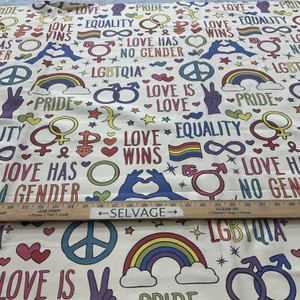 EXCLUSIVE Mister Domestic Love is Love Canvas Love Wins Rainbow Multi | Medium Weight Canvas Fabric | Home Decor Fabric | 60" Wide | Pride | LGBTQ+