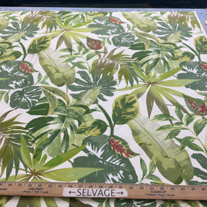 Comersan Fabrics Caribe Duck Green And White | Lightweight Duck Fabric | Home Decor Fabric | 55" Wide