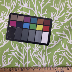 Comersan Fabrics Manglar Duck Green/White | Lightweight Duck Fabric | Home Decor Fabric | 55" Wide