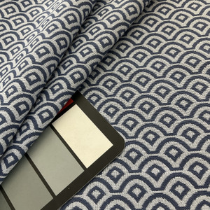 InsideOut Indoor/Outdoor Performance Coastal Carteret Woven Cadet | Very Heavyweight Outdoor, Jacquard Fabric | Home Decor Fabric | 57" Wide