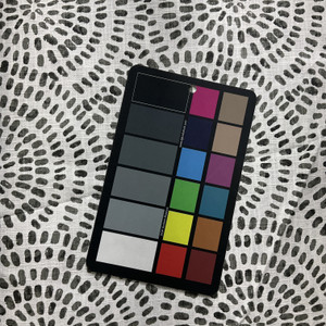 Premier Prints Into The Wild Cecil Slub Canvas Raven | Medium/Heavyweight Canvas Fabric | Home Decor Fabric | 54" Wide