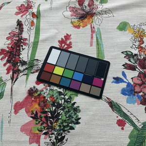 PKL Studio Free-Hand Floral Basketweave Fresh | Medium/Heavyweight Basketweave Fabric | Home Decor Fabric | 54" Wide