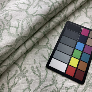 Bella Dura Home Indoor/Outdoor Performance Atoll Woven Meadow | Home Decor Fabric | 55" Wide