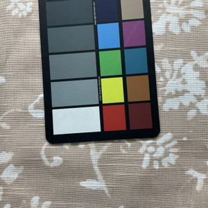 Premier Prints Lenore Slub Duck Spice | Home Decor Fabric | 54" Wide