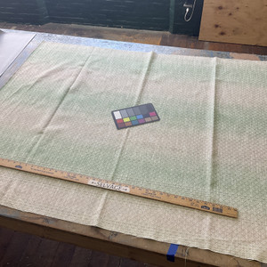 Bella Dura Home Performance Sevilla Fern | Heavyweight Outdoor, Jacquard Fabric | Home Decor Fabric | 54" Wide