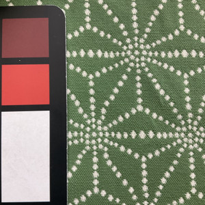 Luminary in Clover | OUTDOOR Home Decor Fabric | Geometric in Green / White | Medium Weight | 54" Wide | By the Yard