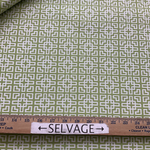Sunblock in Parakeet | Upholstery Fabric | Green / Ivory | Medium Weight | 54" Wide | By the Yard | Durable