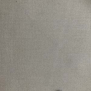 Light Neutral Canvas | Home Decor Fabric | 62" Wide | By the Yard