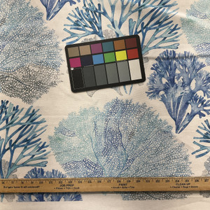 Cook in Blue  |  Aqua Blue Coral Nautical Printed Duck Home Decor Fabric | Vilber | Drapery |  100% Cotton |  54" Wide | Sold BTY