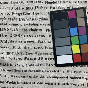 Papiro in Natural | Home Decor Fabric | Gardening Script on Natural Beige Basketweave |  Vilber | Upholstery | Drapery | 54" Wide | Sold BTY