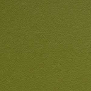 Nassimi Classic in Granny Smith / Green | Premium Upholstery Vinyl | Auto / Commercial / Home | Extra Durable | 54" Wide | BTY