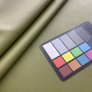 Nassimi Classic in Picholine / Green | Premium Upholstery Vinyl | Auto / Commercial / Home | Extra Durable | 54" Wide | BTY