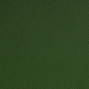 Nassimi Classic in Fern / Green | Premium Upholstery Vinyl | Auto / Commercial / Home | Extra Durable | 54" Wide | BTY