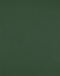 Nassimi Impulse in Flora / Green | Premium Upholstery Vinyl | Commercial / Home | 54" Wide | BTY