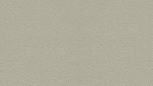 Sand Dollar Light Tan Spradling Softside LEON | Upholstery Vinyl for Boats / Automotive / Commercial Seating | 54"W | BTY