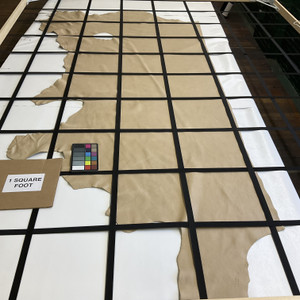 Cetus in Cappuccino Beige | Full Grain Leather Cowhide | 21 Square Feet | 3 Ounce / 1.3 mm