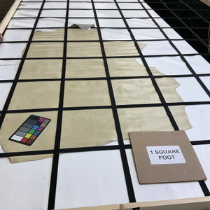 Canyon in Ancient Grain | Patent Leather Cowhide | 14 Square Feet | 3 Ounce / 1.3 mm