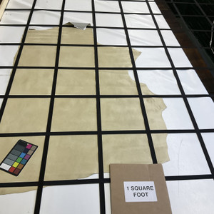 Canyon in Ancient Grain | Patent Leather Cowhide | 14 Square Feet | 3 Ounce / 1.3 mm