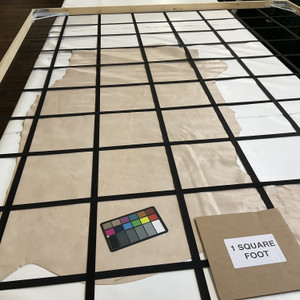 Canyon in Whisper Pink | Patent Leather Cowhide | 20 Square Feet | 3 Ounce / 1.3 mm