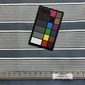 Script in Denim | Upholstery Fabric | Stripes | Denim Blue / Off White | Medium Weight | Richloom | 54" Wide | By the Yard