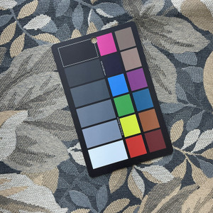 Treehouse in Forest | Upholstery Fabric | Foliage in Grey / Brown / Beige | Richloom | Heavy Weight | 54" Wide | By the Yard