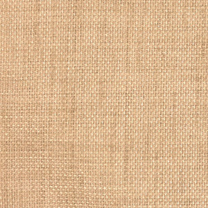 2.875 Yard Piece of Richloom Solarium Outdoor Birch | Medium Weight Outdoor Fabric | Home Decor Fabric | 54" Wide