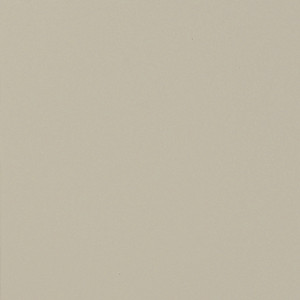 Nassimi ELEMENT  In Color SAND BEACH Faux Leather Urethane  | Upholstery Fabric | 54 Wide