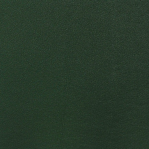 Nassimi SALINGER In Color BOTTLE GREEN VINYL CANVAS | 54 WIDE | BY THE YARD