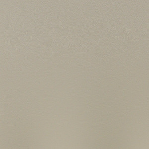 Nassimi SALINGER In Color CANVAS VINYL CANVAS | 54 WIDE | BY THE YARD