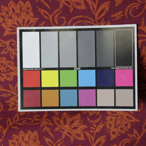 Robert Allen-Fucia/Orange Floral Drapery & Curtain Fabric By The Yard