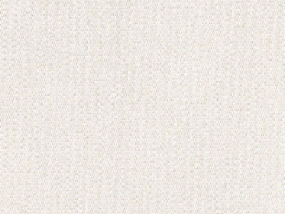 6042-0000 Oyster Sunbrella Fabric