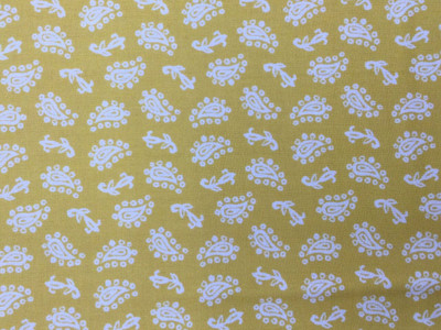 Paisley Quilt Fabric