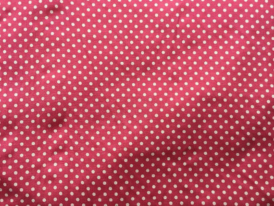 White Dots Fabric