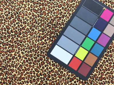 Cotton Print Quilting Fabric